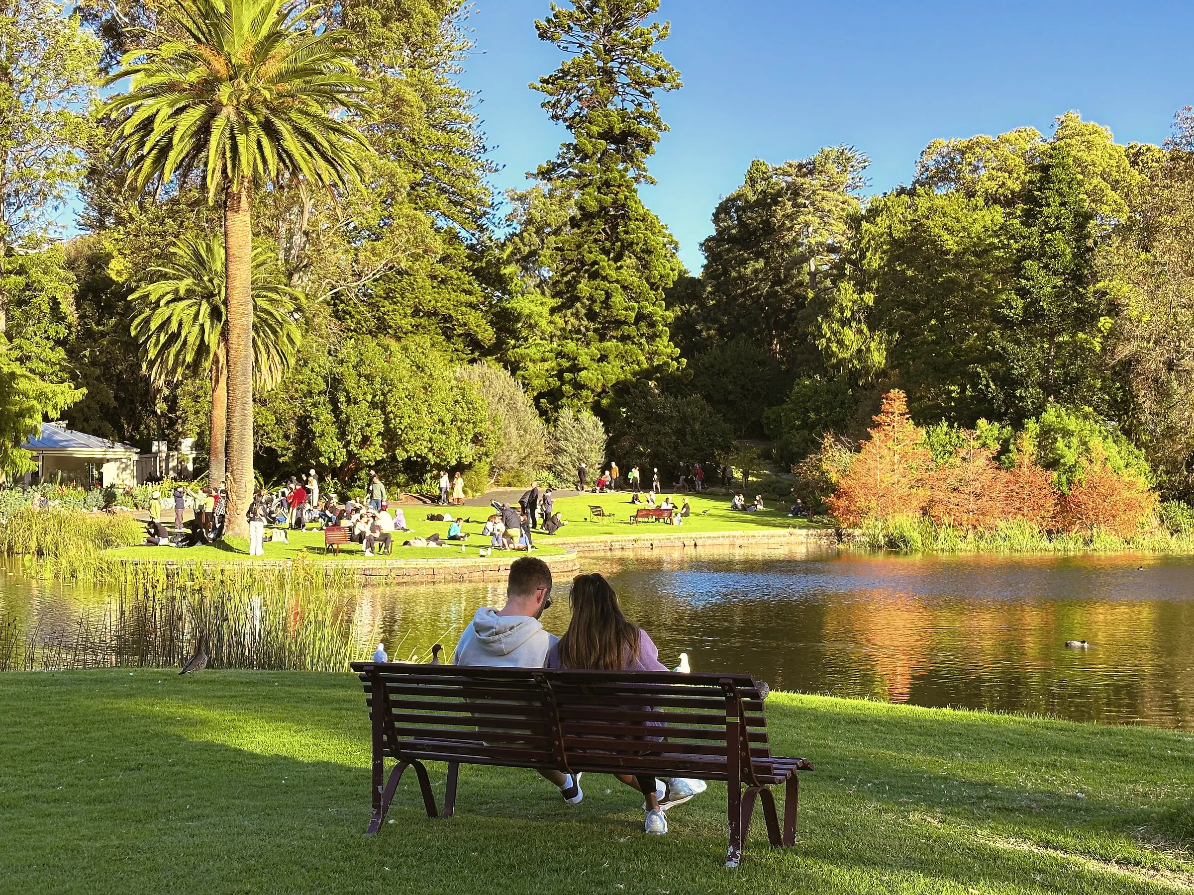 A couple on a bench beside a lake in late afternoon sun, with autumn colour on the far bank and people on the lawn