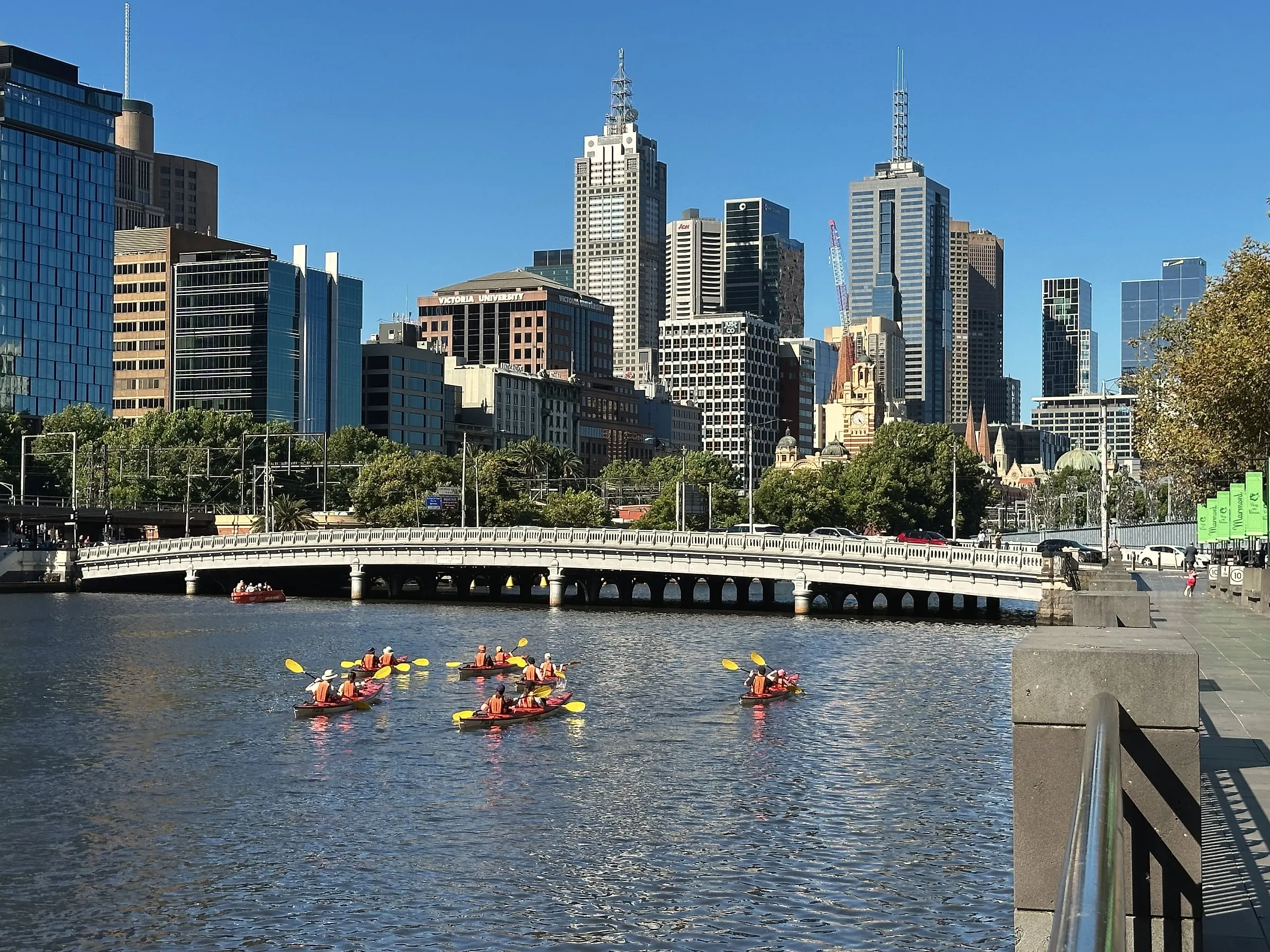 Kayakers paddling on the Yarra beside Princes Bridge, with the city towers under a clear blue sky